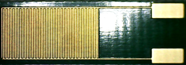 Gold Interdigital Transducer